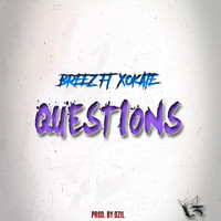 Thumbnail for the Breez - Questions link, provided by host site