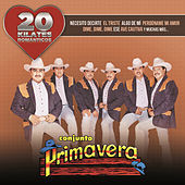 Thumbnail for the Conjunto Primavera - Quien Como Tu link, provided by host site