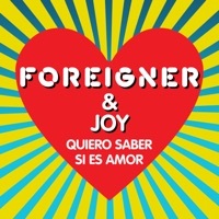 Thumbnail for the Foreigner - Quiero saber si es amor link, provided by host site