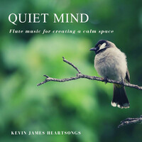 Thumbnail for the Kevin James - Quiet Mind link, provided by host site