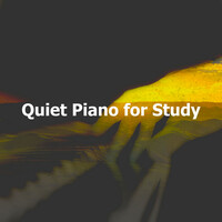 Thumbnail for the Study Piano Music - Quiet Piano for Study link, provided by host site