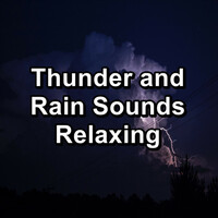 Thumbnail for the Sounds of Nature Relaxation - Quiet Rain With Ocean Waves To Repeat for 10 Hours link, provided by host site