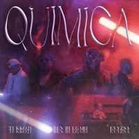 Thumbnail for the Tukko21 - QUÍMICA link, provided by host site