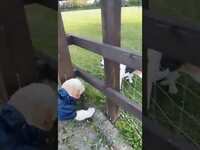 Thumbnail for the Jonas Blue - Quincy can't get enough 😂 🐶 #PerfectMelody #PetsofTikTok link, provided by host site