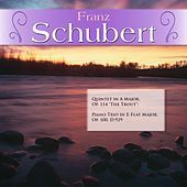 Thumbnail for the Eugene List - Quintet in A Major, Op. 114 "The Trout": I. Allegro vivace link, provided by host site