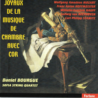 Thumbnail for the Carl Stamitz - Quintette No. 3 pour cor, violon, 2 alti et cello, Op. 11: Rondo link, provided by host site