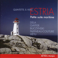 Thumbnail for the Jacques Hetu - Quintette, Op. 13: II. Vivace link, provided by host site