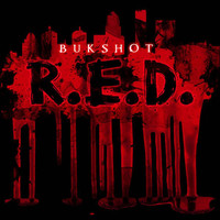 Image of Bukshot linking to their artist page due to link from them being at the top of the main table on this page