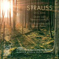 Thumbnail for the Pittsburgh Symphony Orchestra - R. Strauss: Don Juan, Op. 20, Death and Transfiguration, Op. 24 & Till Eulenspiegel's Merry Pranks, Op. 28 link, provided by host site