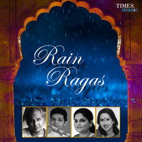 Thumbnail for the Ajoy Chakrabarty - Raag Miyan Malhar - Ritu Varsha link, provided by host site