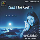 Thumbnail for the Janiva Roy - Raat Hai Gehri link, provided by host site