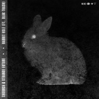 Thumbnail for the Chuurch - Rabbit Hole link, provided by host site
