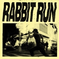 Thumbnail for the IDLES - Rabbit Run (From the "Caught Stealing" Original Motion Picture Soundtrack) link, provided by host site