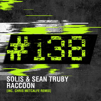 Thumbnail for the Solis & Sean Truby - Raccoon (Chris Metcalfe Remix) link, provided by host site