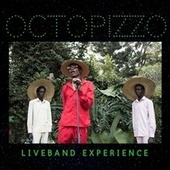 Thumbnail for the Octopizzo - RadaChafu LiveBand Experience link, provided by host site