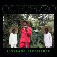 Thumbnail for the Octopizzo - RadaChafu LiveBand Experience link, provided by host site