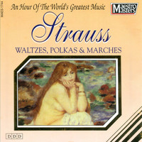 Thumbnail for the Vienna Volksoper Orchestra - Radetzky March, Op. 228 link, provided by host site
