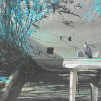 Thumbnail for the Hessian - Radial link, provided by host site