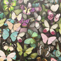 Thumbnail for the Elena Temnikova - Бабочки (Radio Edit) link, provided by host site