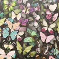 Thumbnail for the Elena Temnikova - Бабочки (Radio Edit) link, provided by host site