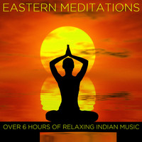 Thumbnail for the G.S. Sachdev - Raga Hansa-Dhawani link, provided by host site