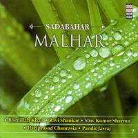 Thumbnail for the Shivkumar Sharma - Raga Megh link, provided by host site