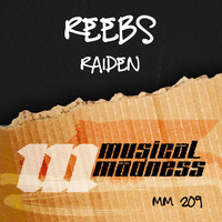 Thumbnail for the Reebs - Raiden link, provided by host site