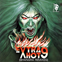 Thumbnail for the Chirag Pehchan - Rail Gaddi (Remix) link, provided by host site