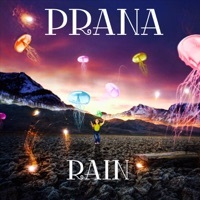 Image of Prana linking to their artist page due to link from them being at the top of the main table on this page
