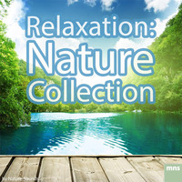 Thumbnail for the Nature Sounds - Rain Fall link, provided by host site
