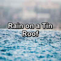 Thumbnail for the Nature Tribe - Rain on a Tin Roof in the Night link, provided by host site