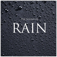 Thumbnail for the Rain - Rain : Sleep link, provided by host site