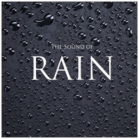 Thumbnail for the Rain - Rain: Sleep link, provided by host site