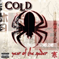 Thumbnail for the COLDЗИМА - Rain Song link, provided by host site