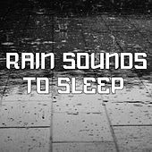 Thumbnail for the The Rest - Rain Sounds To Sleep link, provided by host site