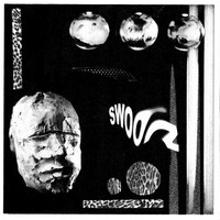 Thumbnail for the Swoon - Rainbirds link, provided by host site