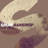 Thumbnail for the Grum - Raindrop link, provided by host site