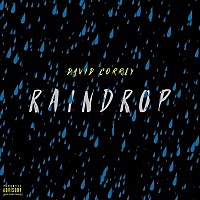 Thumbnail for the David Correy - Raindrop link, provided by host site