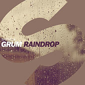 Thumbnail for the Grum - Raindrop link, provided by host site