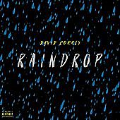 Thumbnail for the David Correy - Raindrop link, provided by host site