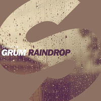 Thumbnail for the Grum - Raindrop link, provided by host site