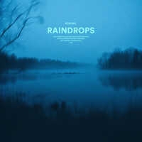 Thumbnail for the Echoes - raindrops link, provided by host site