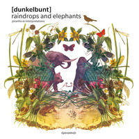 Thumbnail for the [dunkelbunt] - Raindrops And Elephants Piranha Re:Interpretations link, provided by host site