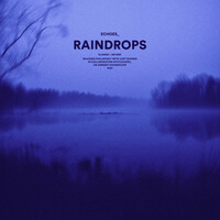 Thumbnail for the Echoes - raindrops (slowed + reverb) link, provided by host site