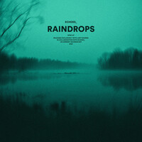 Thumbnail for the Echoes - raindrops (sped up) link, provided by host site