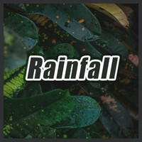 Thumbnail for the Sounds Of Nature - Rainfall link, provided by host site