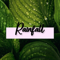 Thumbnail for the Nature Sounds - Rainfall link, provided by host site