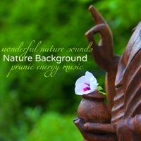 Thumbnail for the Zen Nadir - Rainfall link, provided by host site