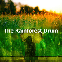 Thumbnail for the Rain Sleep - Rainfall link, provided by host site
