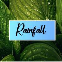 Thumbnail for the Sounds Of Nature - Rainfall link, provided by host site